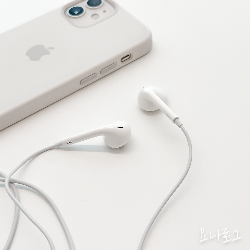 애플 애플이어폰 이어팟 에어팟 애플정품 애플정품이어폰 에어팟프로 이어폰추천 유선이어폰 무선이어폰 유선이어폰추천 무선이어폰추천 애플스토어 애플정품이어팟 애플정품에어팟 이어폰리뷰 내돈내산이어폰 내돈내산아이폰 아이폰 아이폰이어폰 earpods airpods