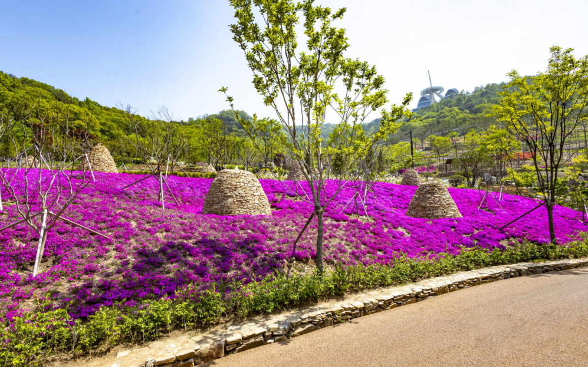 2025 건강도시 스탬프 투어