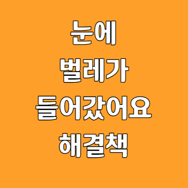 눈에벌레들어갔을때해결방법
