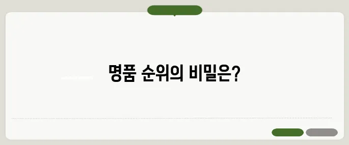 명품 브랜드 순위 효과 한눈에 보기 좋게