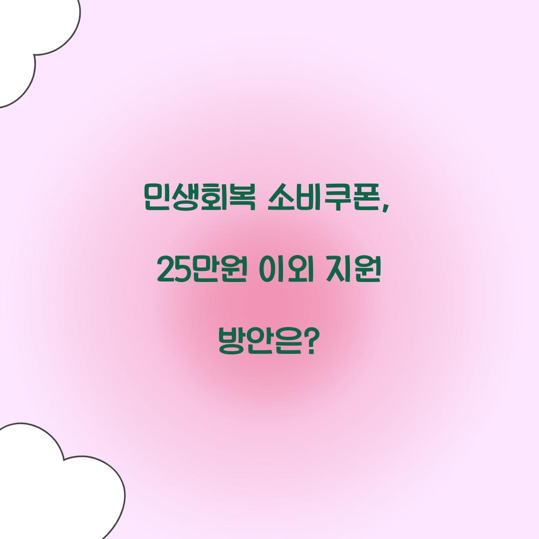민생회복 소비쿠폰