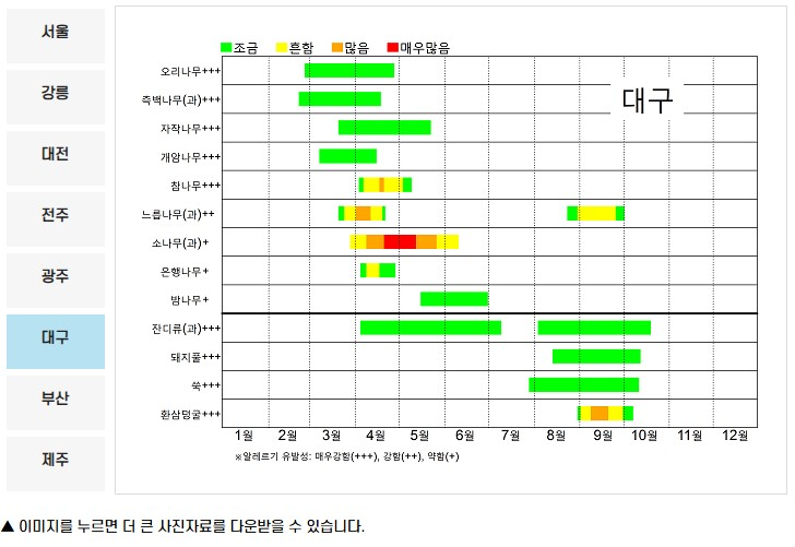 꽃가루 달력