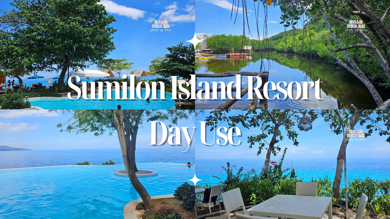 아고다 2023년 9월 호텔 할인 코드 + 세부 일일투어 추천(오슬롭 고래상어 포함) BEST 03