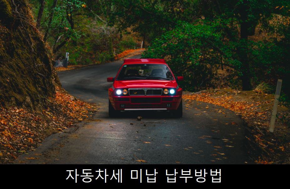 자동차 지방세 조회 선납