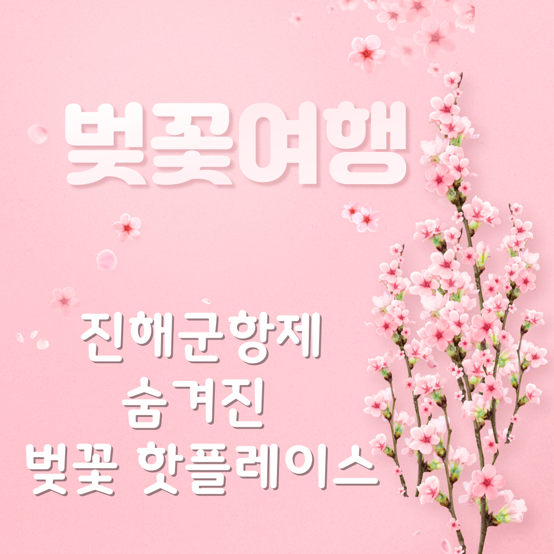 진해군항제 숨겨진 벚꽃 핫플레이스 베스트7