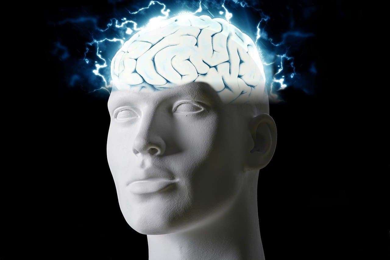 생체전기(Brain Electrical Activity)와 수면의 관계: 뉴런의 전기적 신호가 수면을 조절하는 원리