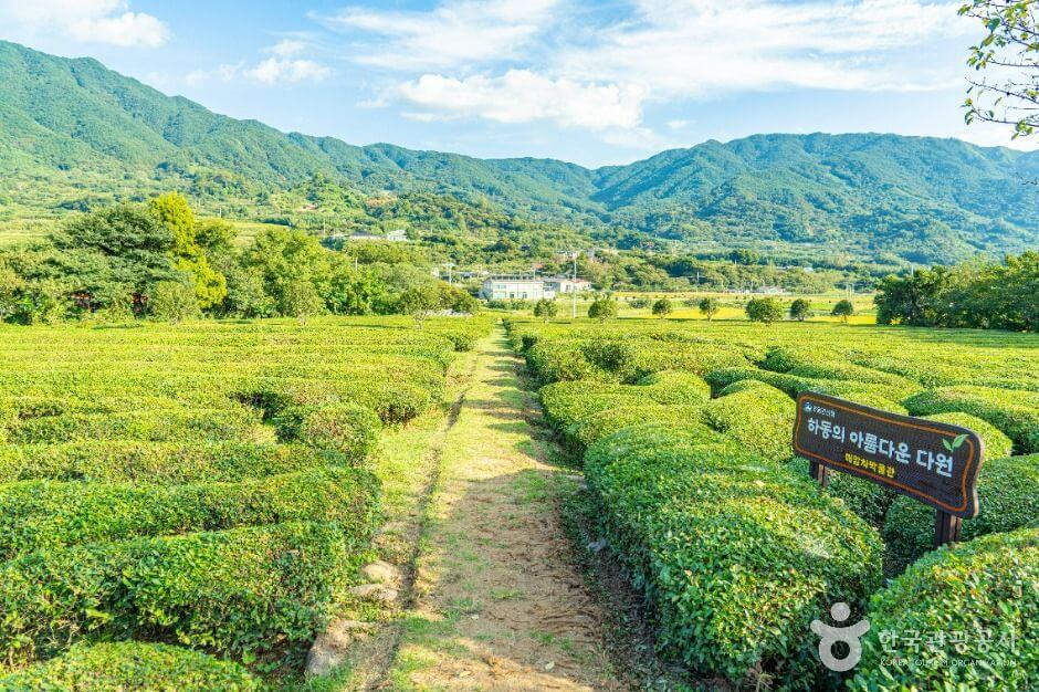 하동 가볼만한곳 베스트 10
