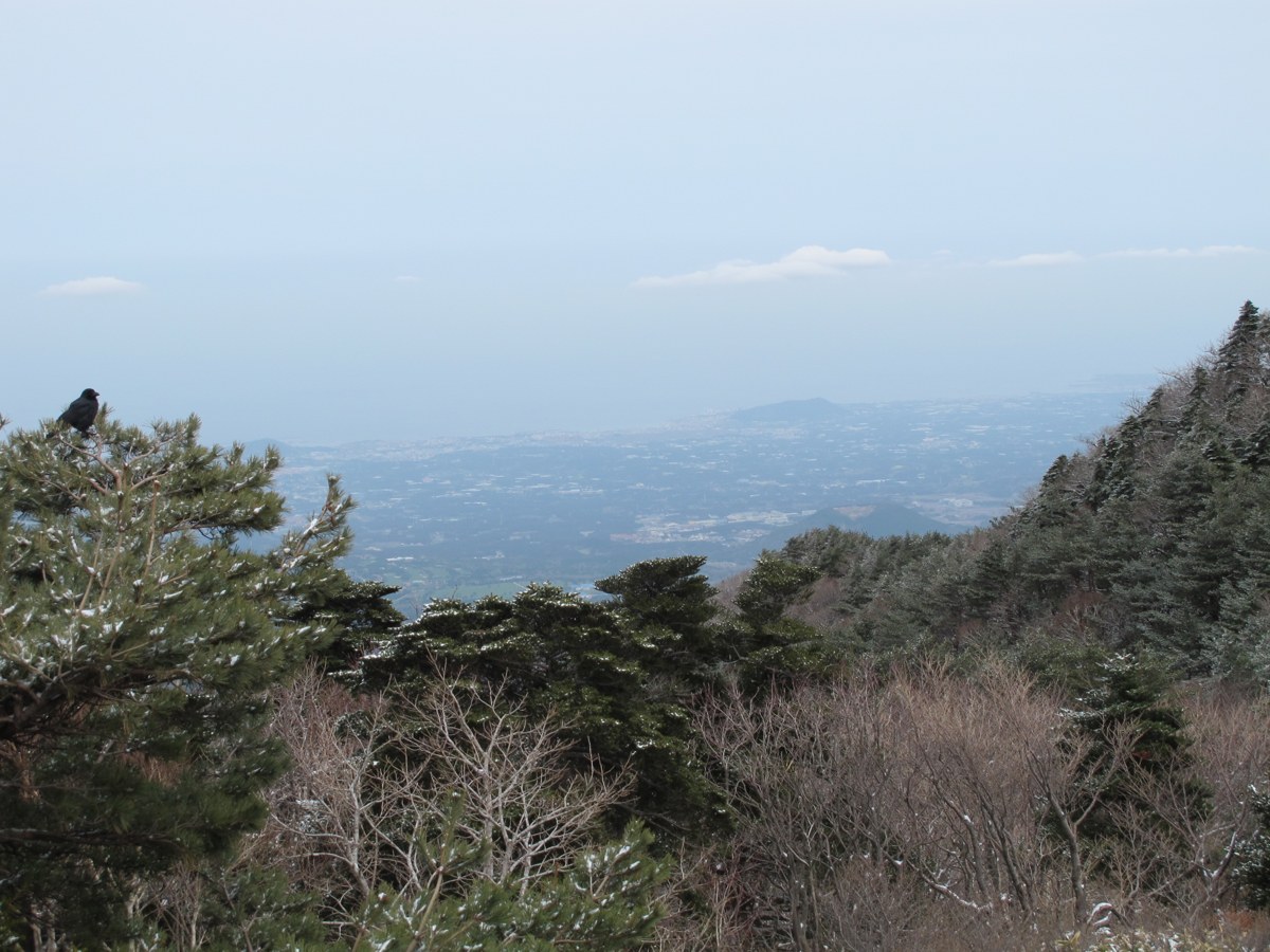 jeju6_사진 605