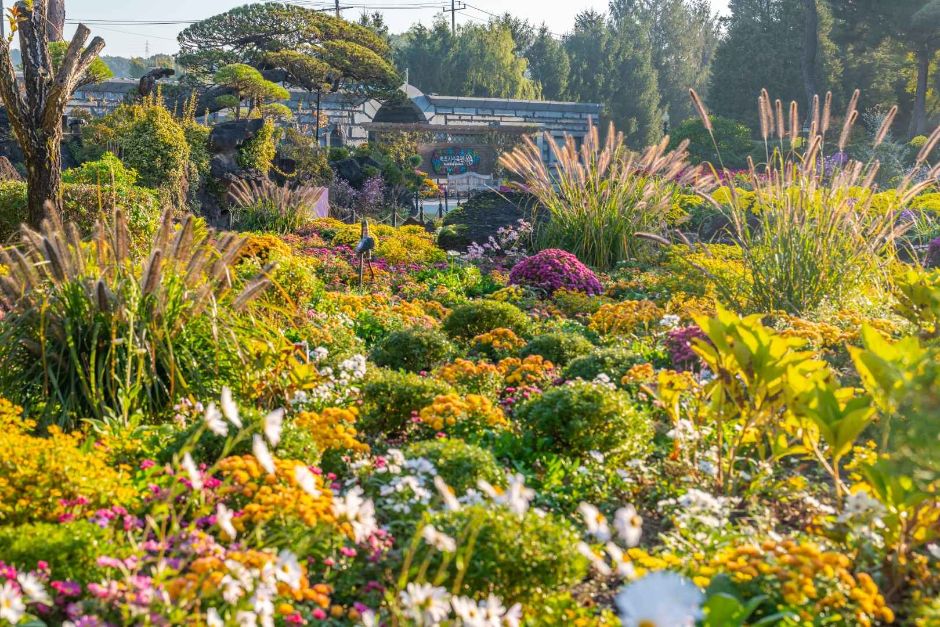 10월 경기 지역 가을 축제