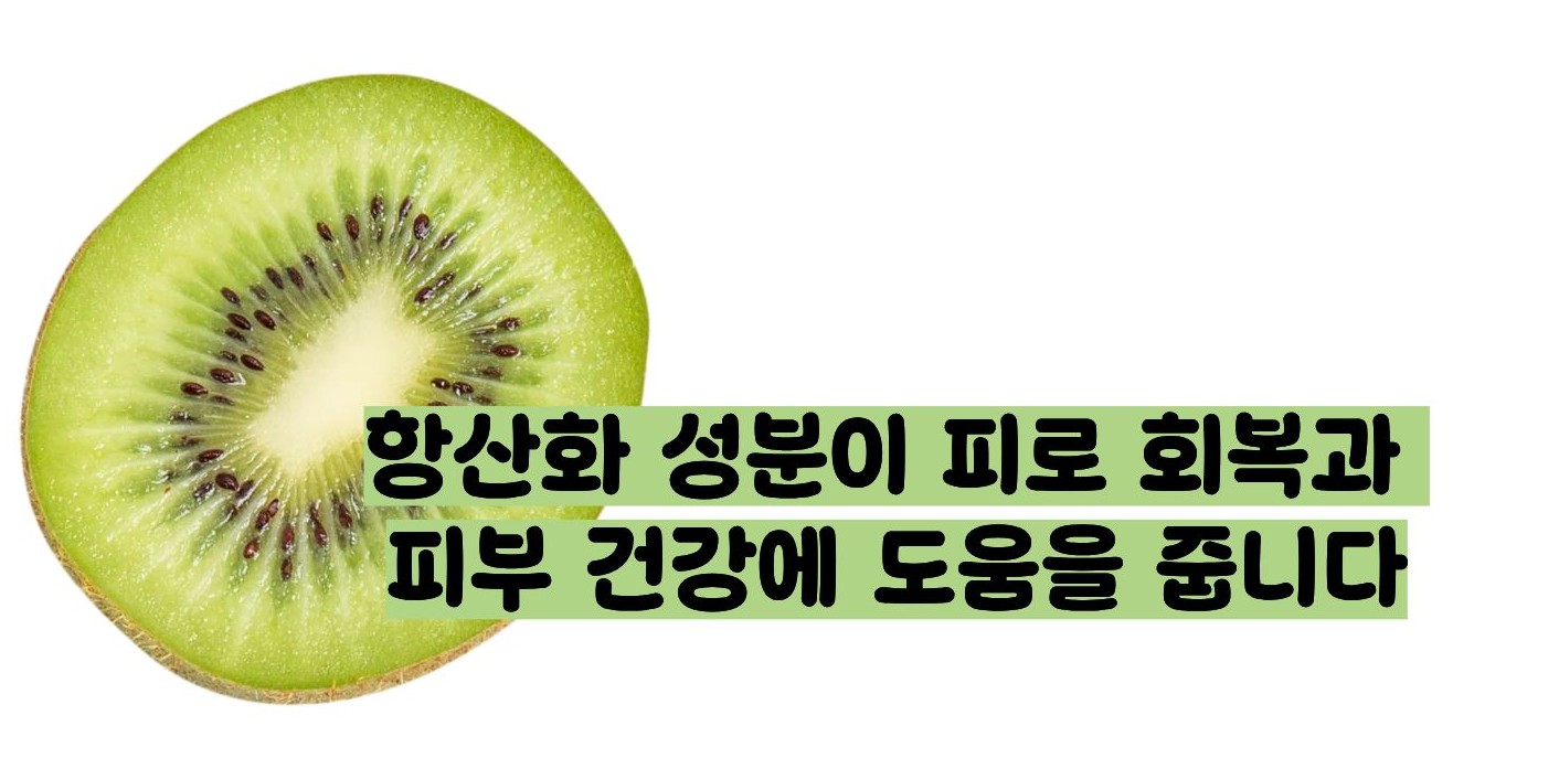 키위 효능