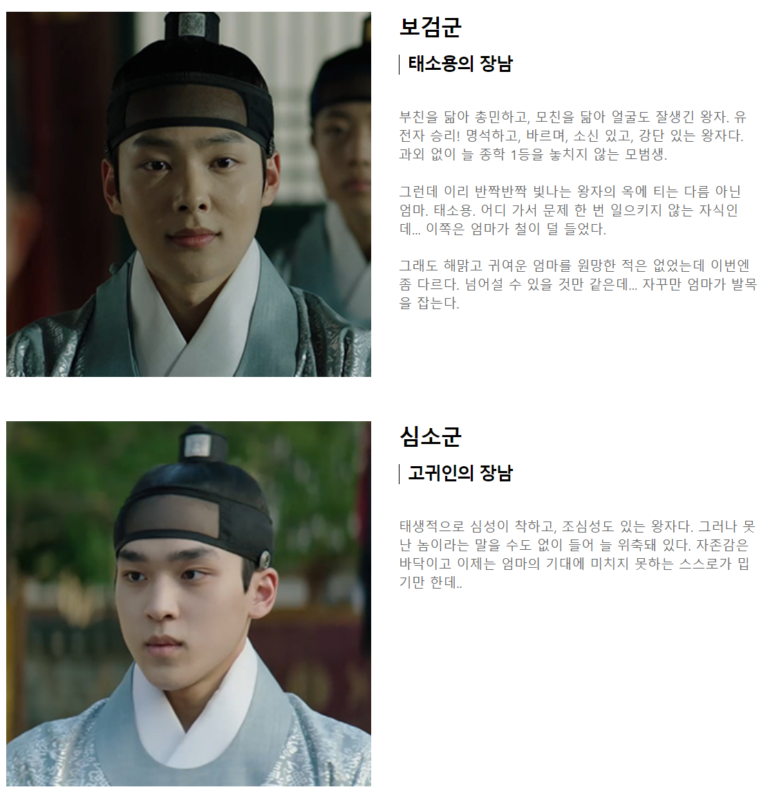 슈룹 드라마 등장인물 인물관계도 총정리