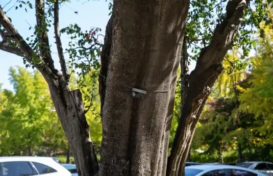 올림픽공원-주차요금-주차장-이용