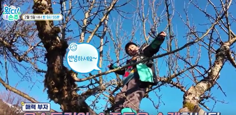 왔다! 내 손주 다시보기 & 신청방법