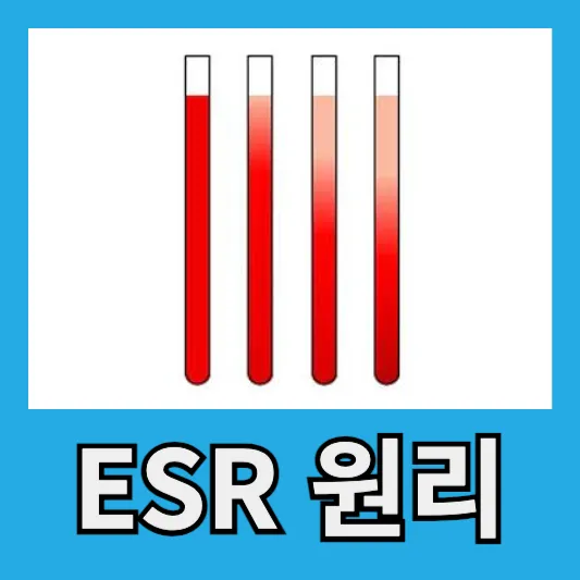 ESR 측정 원리