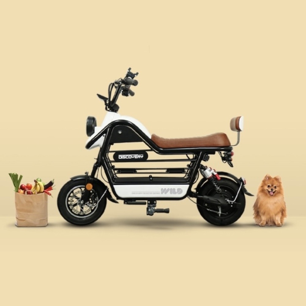 레이윙 디스커버리 와일드 강아지 스쿠터 추천