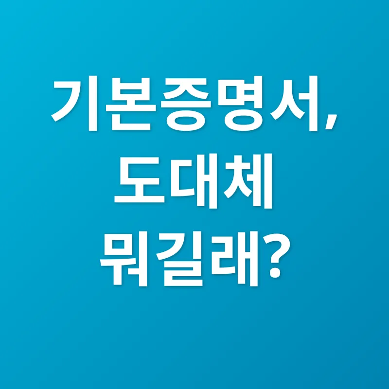 기본증명서_1