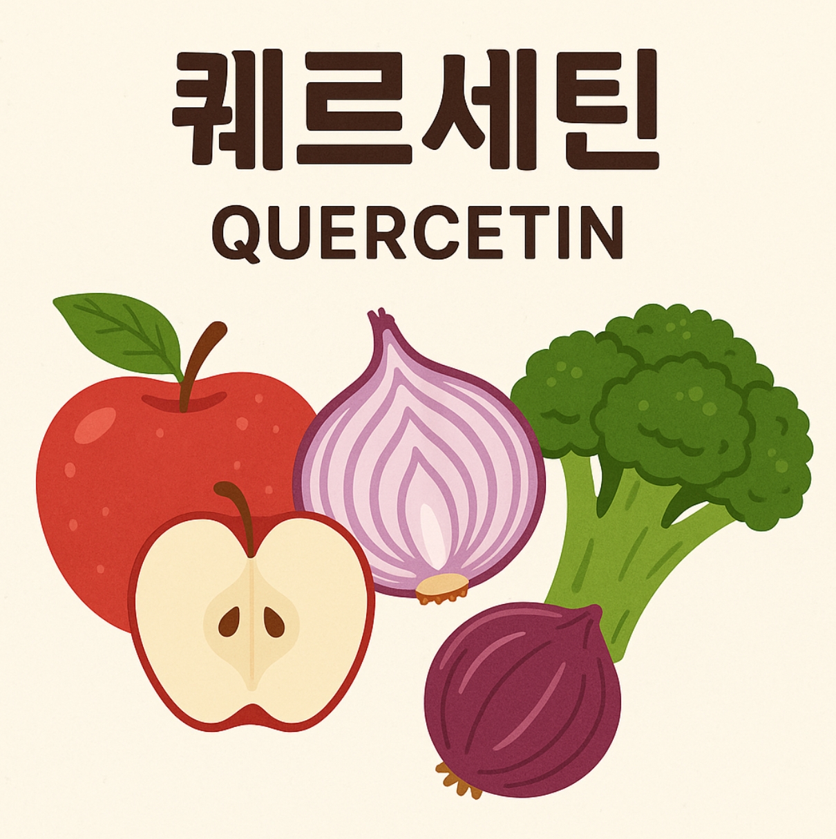 퀘르세틴