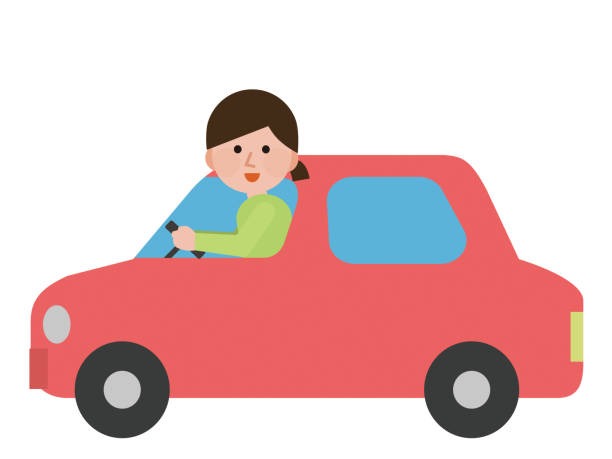 광복절-특사-조회