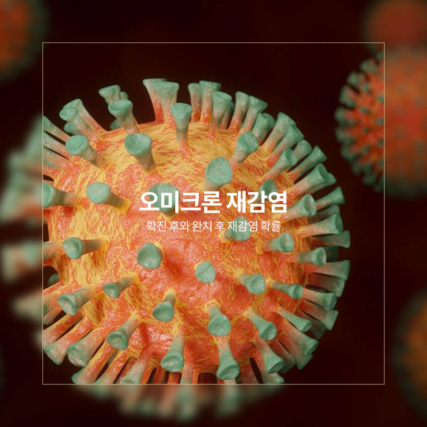 오미크론 재감염, 확진 후, 완치 후 재감염 확률