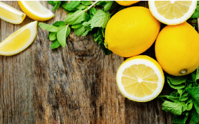 개가 레몬(생)을 먹거나 핥아도 괜찮을까?