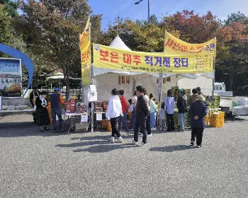 보은 대추축제_15