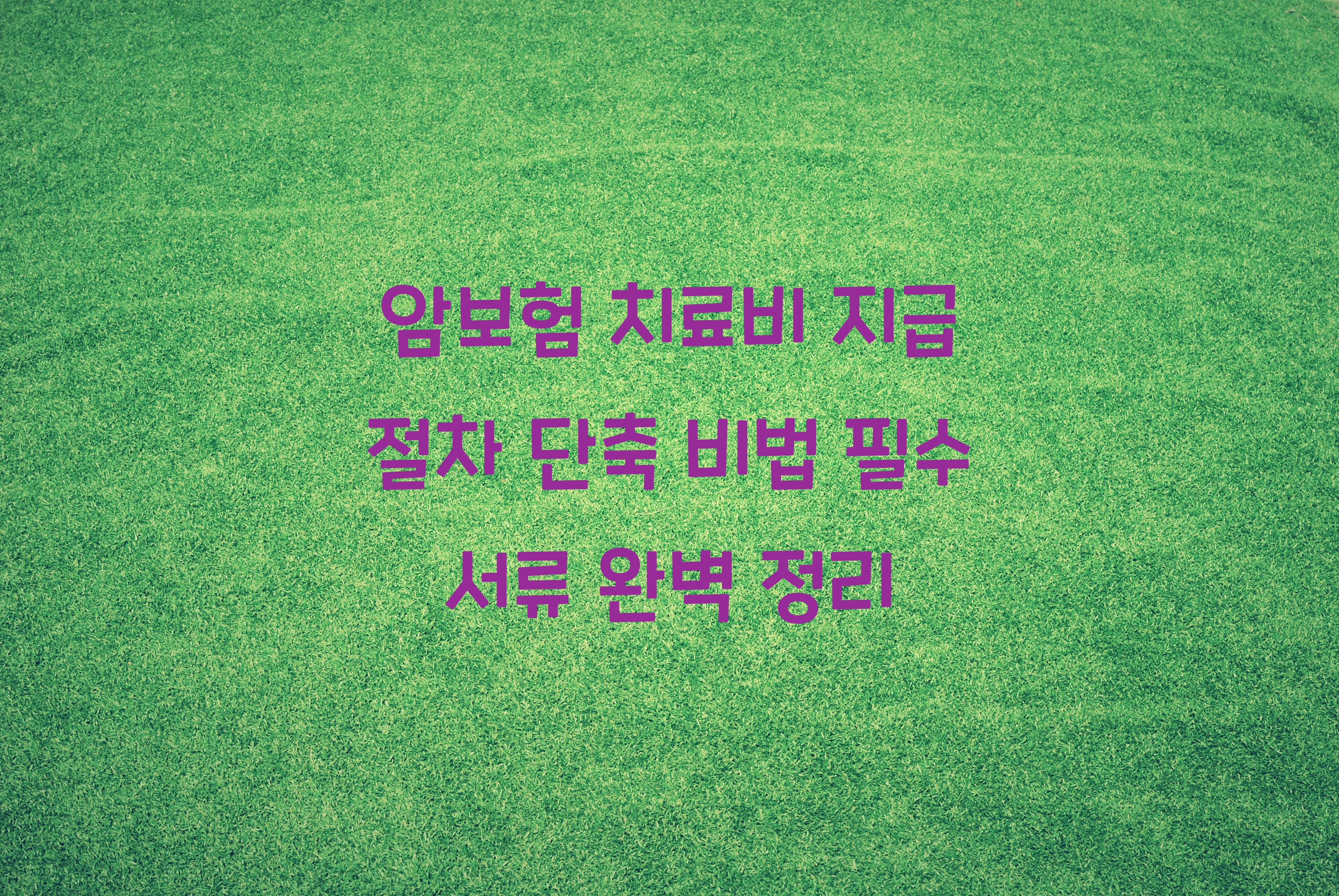 암보험 치료비 지급 절차