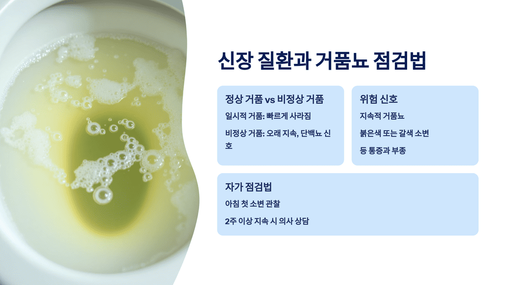 신장 질환과 거품뇨 점검법