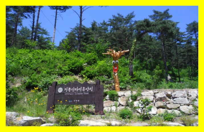 국립자연휴양림 예약&amp;#44; 국립자연휴양림 예약 성수기 추첨&amp;#44; 국립자연휴양림 추첨&amp;#44; 국립자연휴양림 성수기 추첨&amp;#44; 국립자연휴양림 성수기 예약 추첨&amp;#44; 국립자연휴양림 예약 신청방법&amp;#44; 국립자연휴양림 예약통합시스템