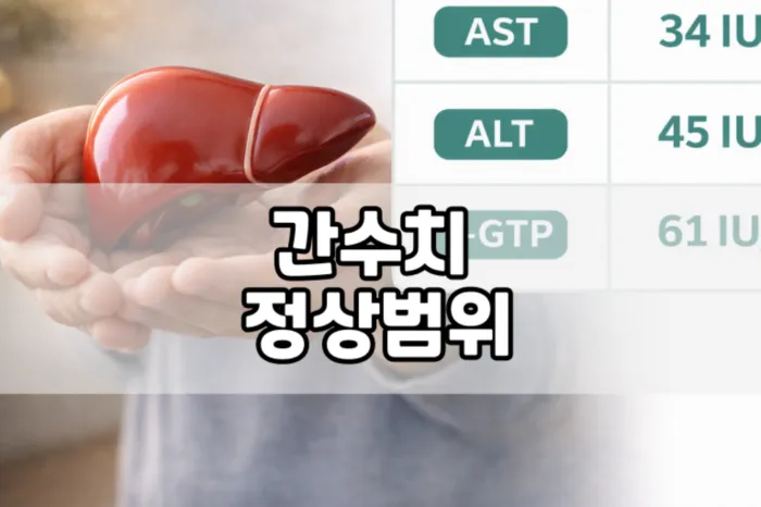 간수치 정상범위