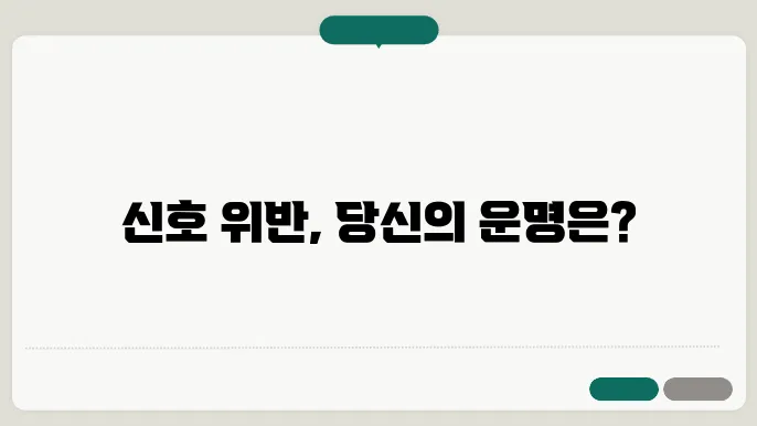 신호위반 예방 교육