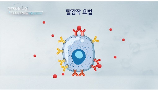 탈감작요법