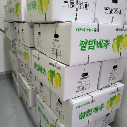 절임배추 인기