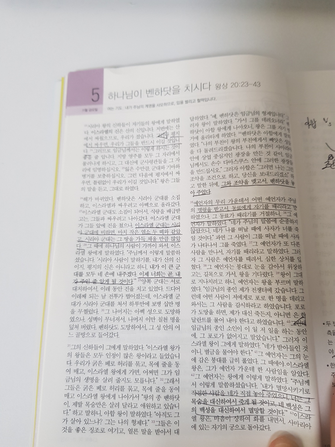 211105 시냇가에 심은 나무