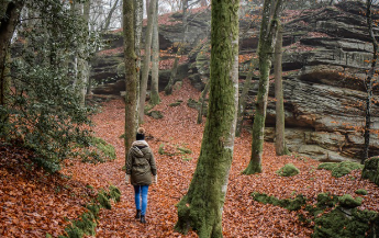 청와대 국민청원홈페이지 지금 확인 18