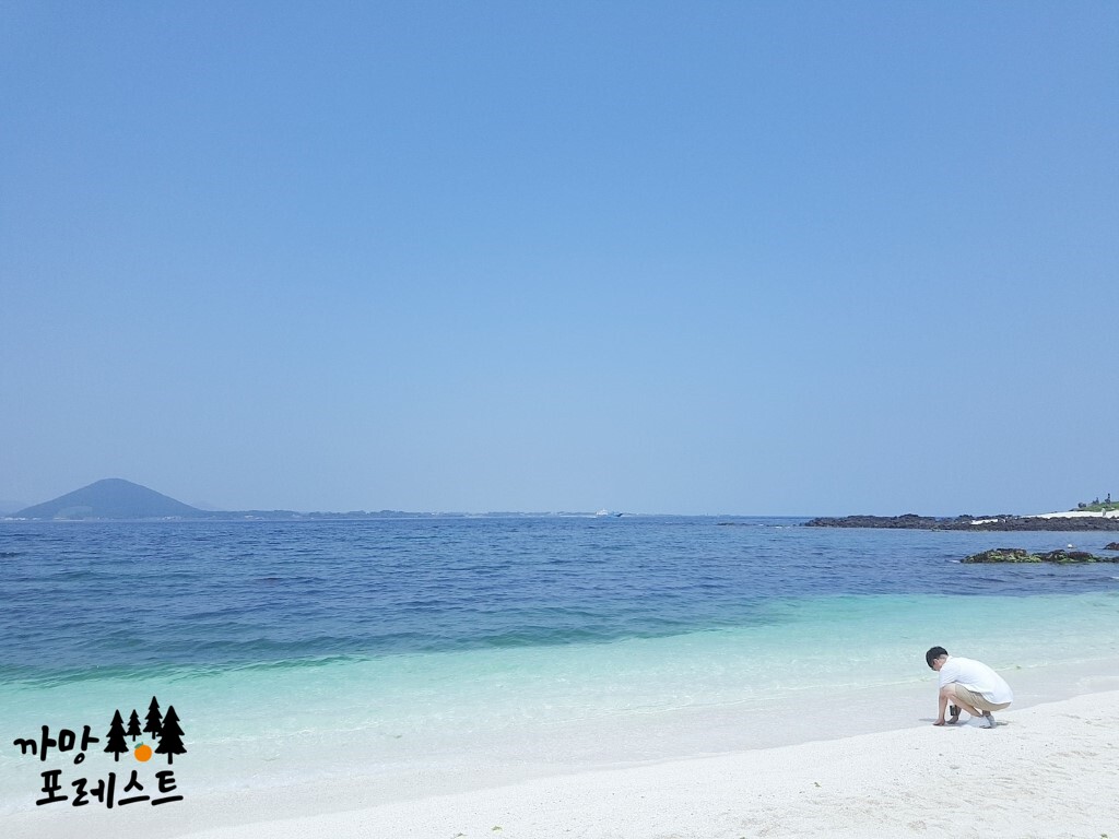 서빈백사