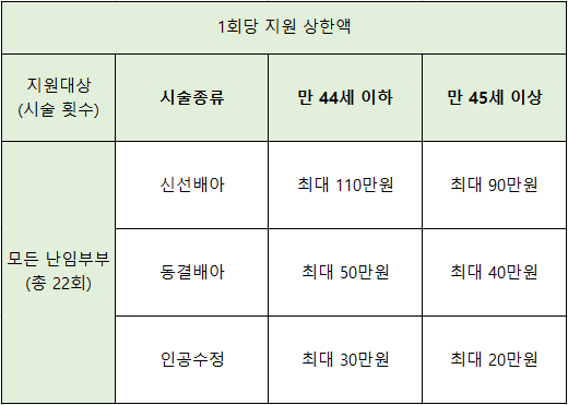 난임부부-시술-종류별-지원금