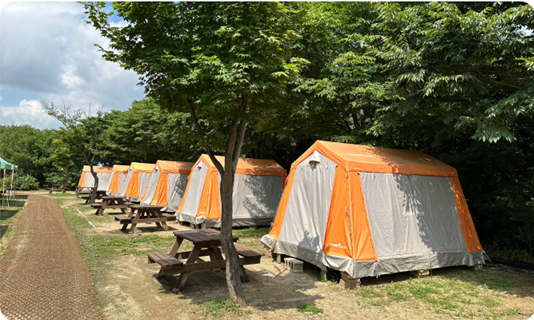 캐빈텐트 이미지
출처: 인천대공원 캠핑장 홈페이지