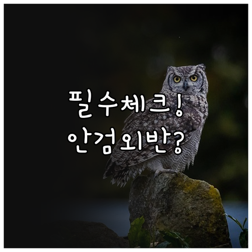 안검외반 걱정된다면 눈밑 지방 재배치..