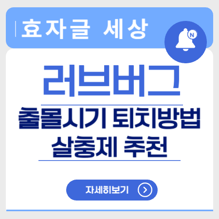 러브버그출몰시기