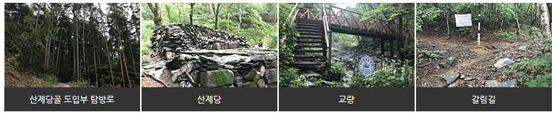 태백산 등산 3 코스