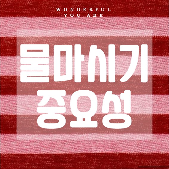 물 마시기 핵심 가이드: 건강과 활력의 비밀