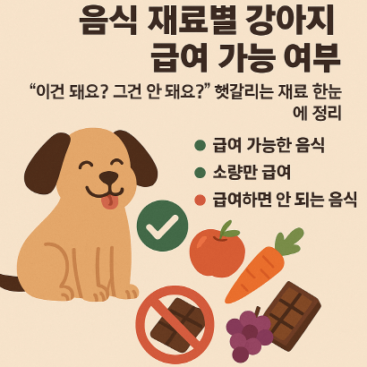 강아지가 먹어도 되는 음식 vs 먹으면 안 되는 음식 총정리