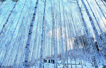 추석 연휴 가기 좋은 국내 여행지 추천