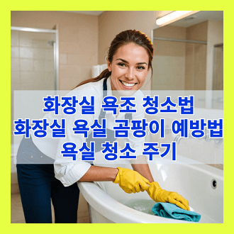 화장실 욕조 청소법 화장실 욕조 곰팡이 예방법 욕실 청소주기