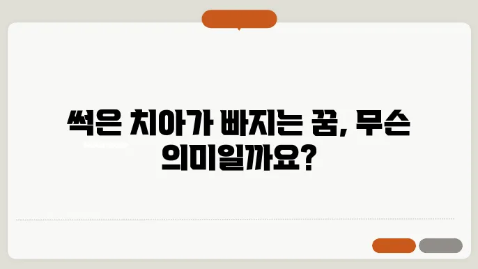 썩은이가 빠지는 꿈 해몽(무료 꿈해몽 풀이)