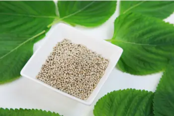 들깨 가격 및 효능, 영양소와 먹는 방법