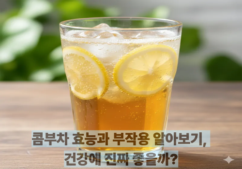 콤부차 효능과 부작용 알아보기, 건강에 진짜 좋을까?