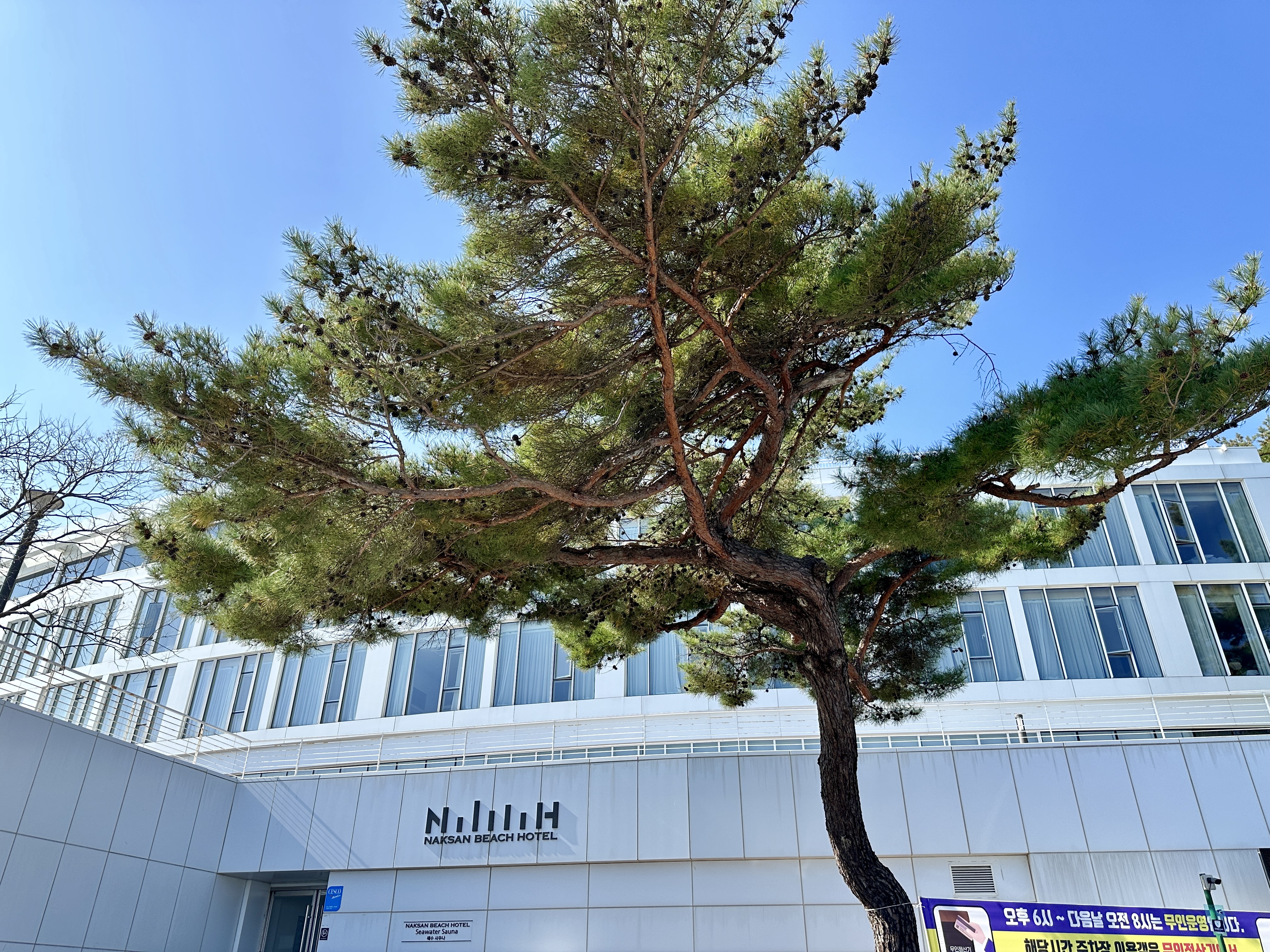 낙산비치호텔