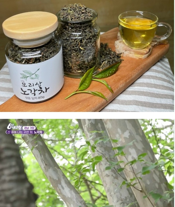 거창-모리산-노각차-권영익