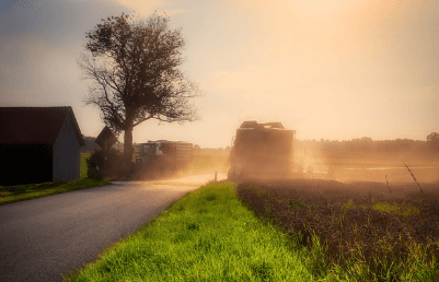 무더운 여름 인사말